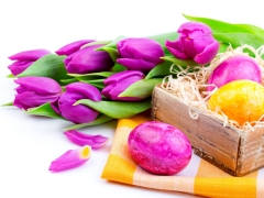 Geel en paarse paaseieren met paarse tulpen