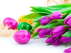 Verschillende kleuren paaseieren met paarse tulpen