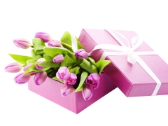 Paarse tulpen in een paarse cadeaudoos